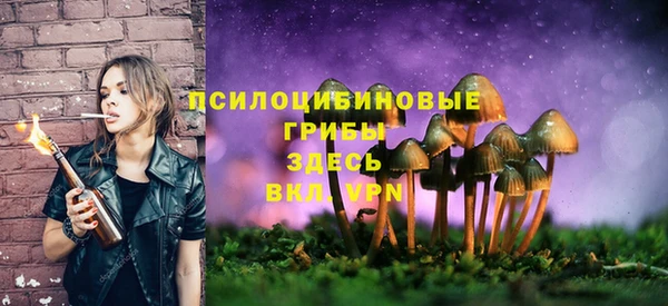 MDMA Беломорск