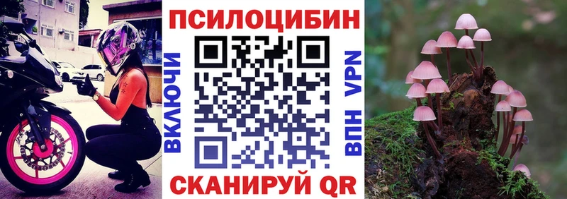 Псилоцибиновые грибы Cubensis  Новый Уренгой 